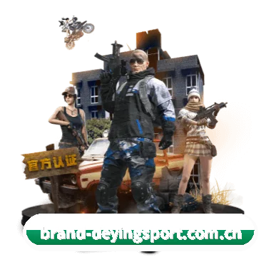 覆盖全球主流联赛（deying）